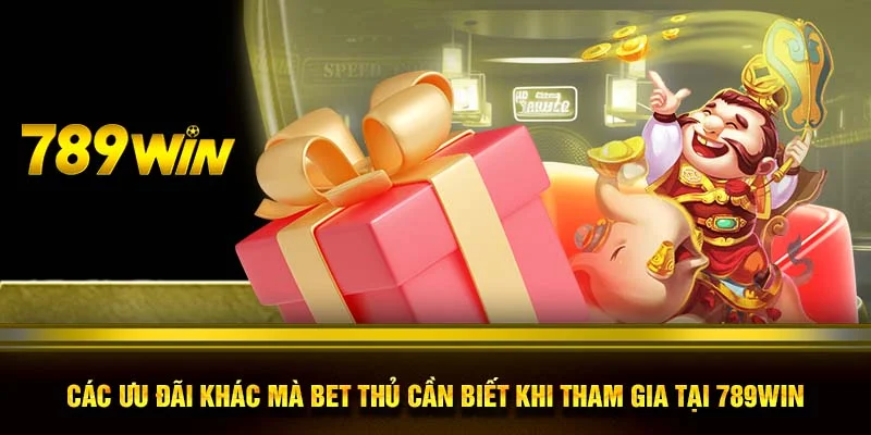 Các ưu đãi khác mà bet thủ cần biết khi tham gia tại 789WIN